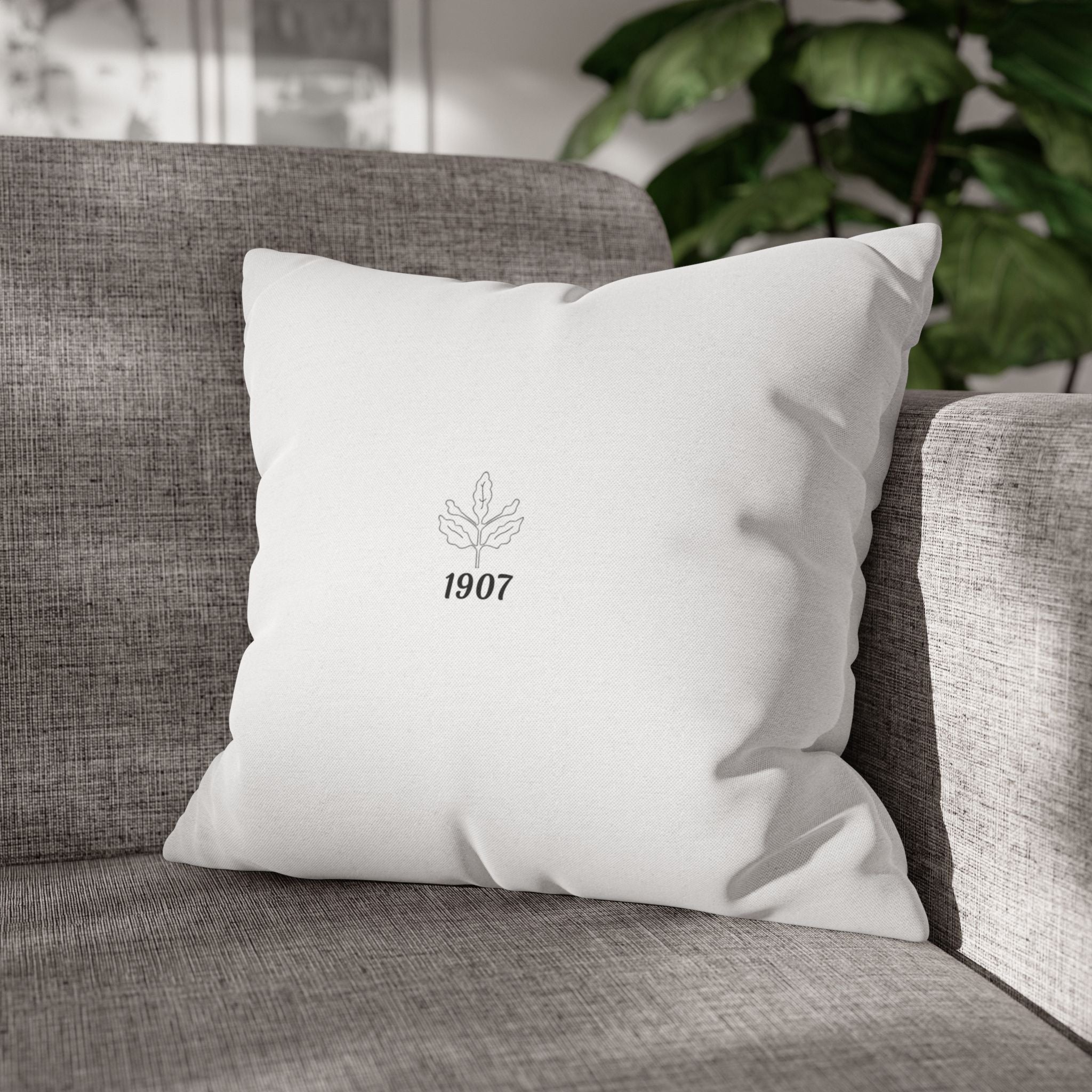 1907 - Aesthetic Modern Decorative Pillow