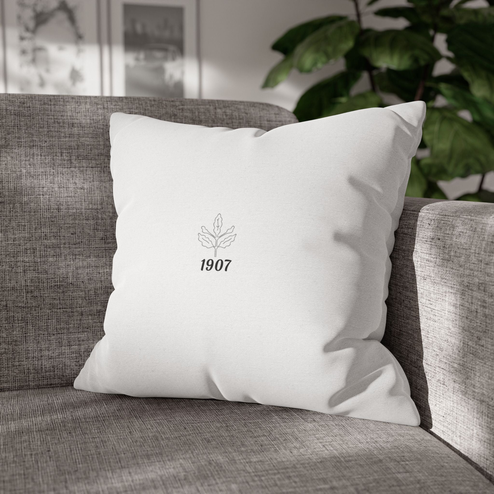 1907 - Aesthetic Modern Decorative Pillow