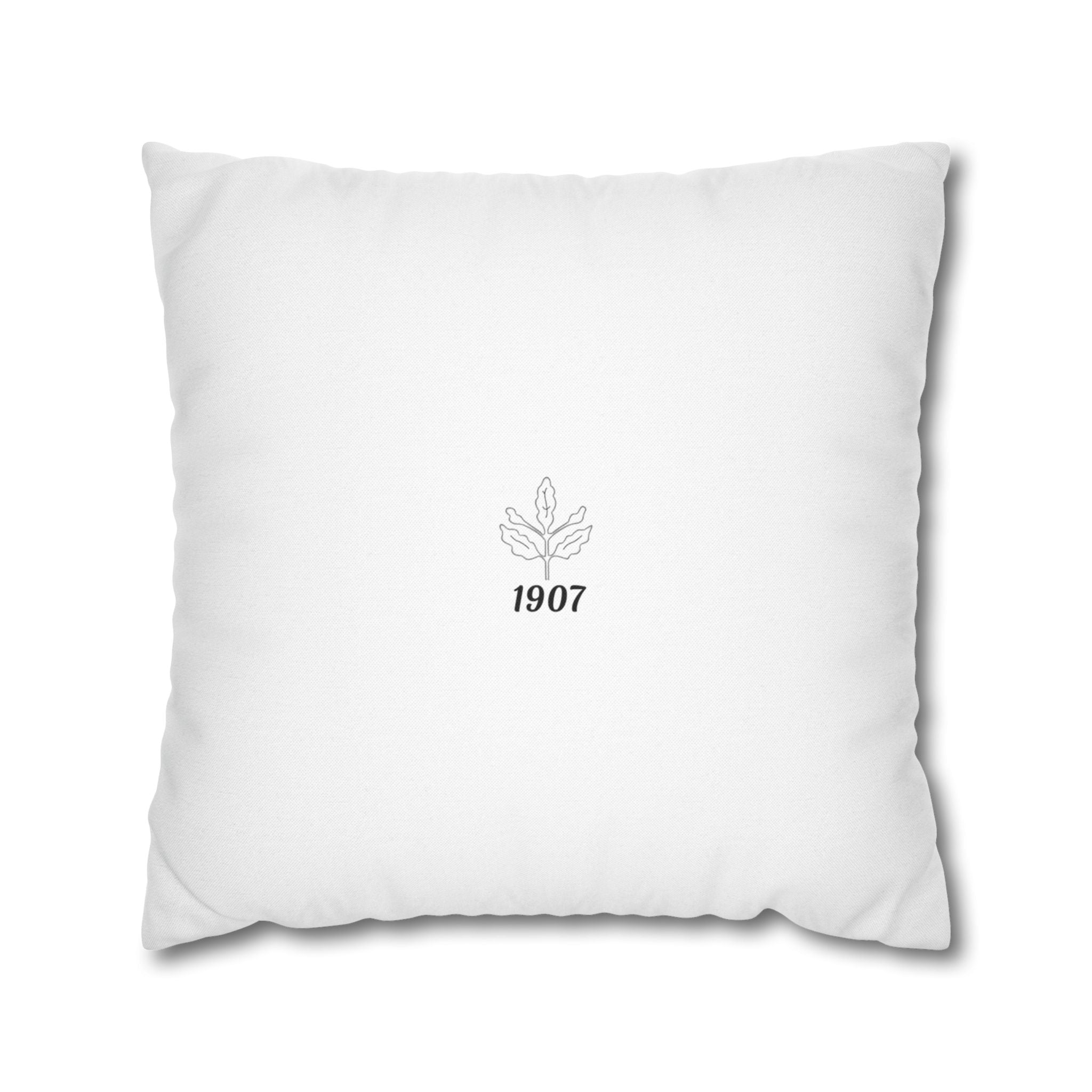1907 - Aesthetic Modern Decorative Pillow